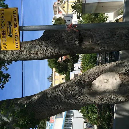 Camera Santa Maria בית הארחה *